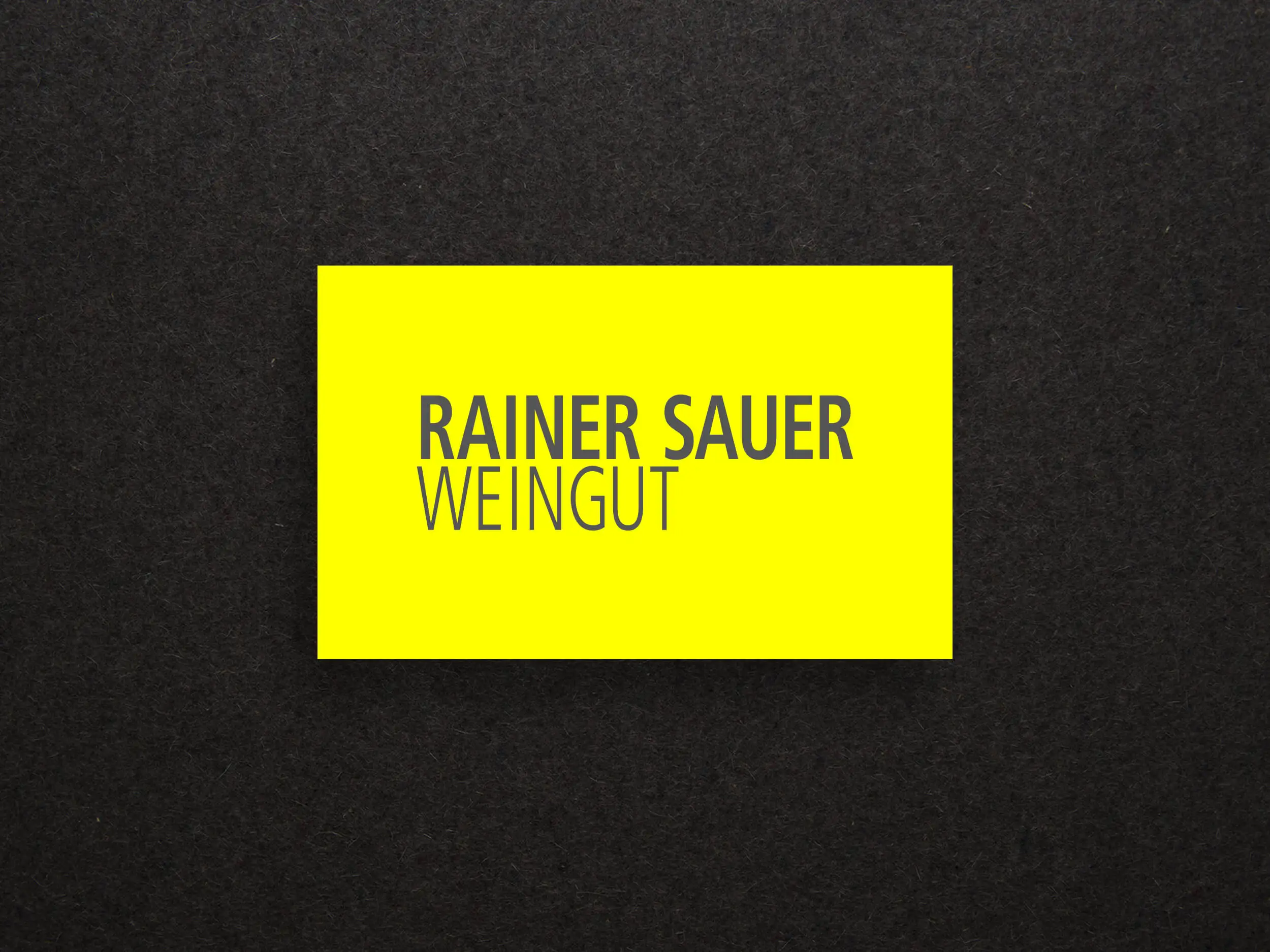 Rainer Sauer